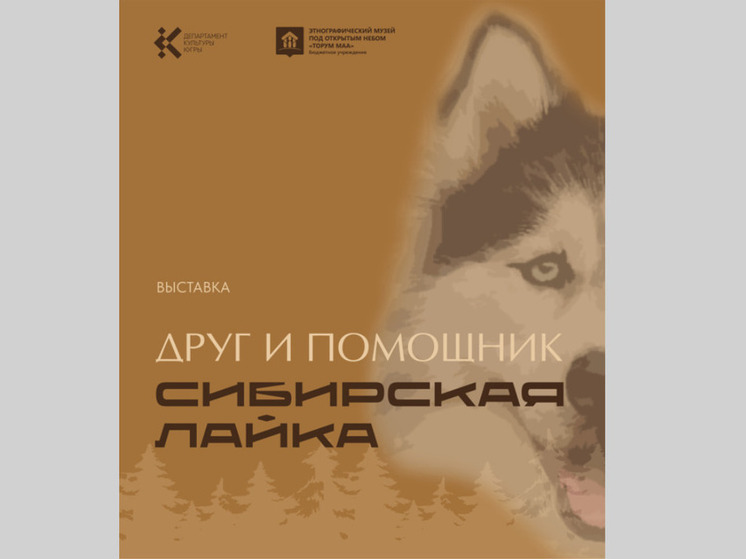 Югорчанам расскажут о роли собак в угорской культуре