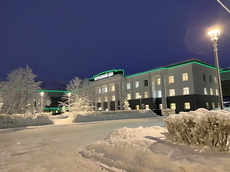 Экологическая модернизация Сегежского ЦБК одобрена Росприроднадзором