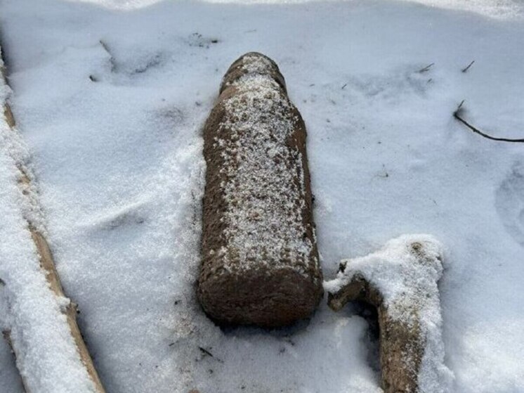 Боеприпас времен Великой Отечественной нашли в Подмосковье