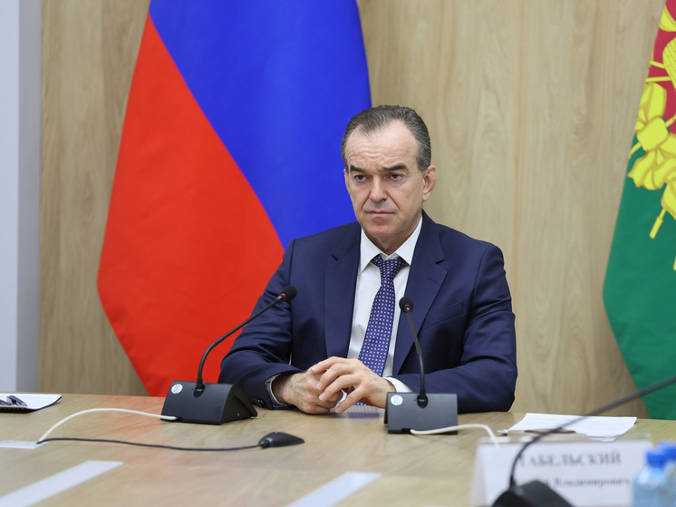 Вениамин Кондратьев принял участие в заседании правительственной комиссии