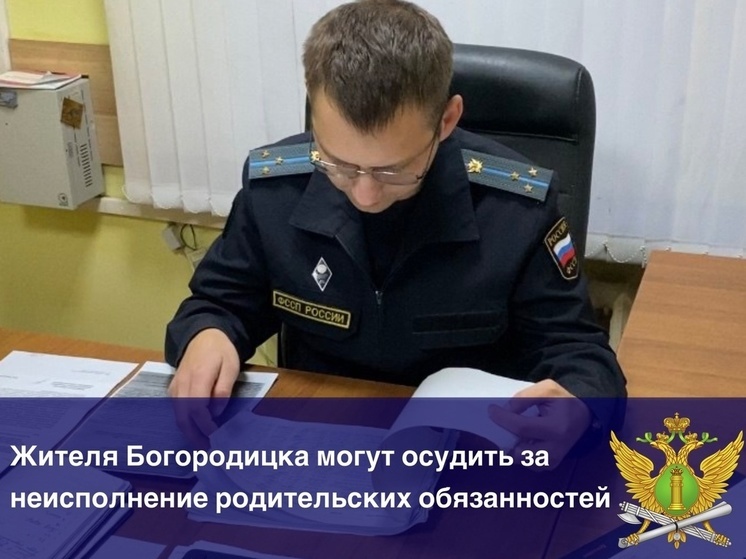 За долг в 220 тысяч по алиментам 21-летний отец из Богороцицка пойдёт под суд