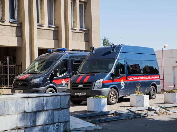 Внимание председателя СК Бастрыкина привлекла тема исчезновения детей