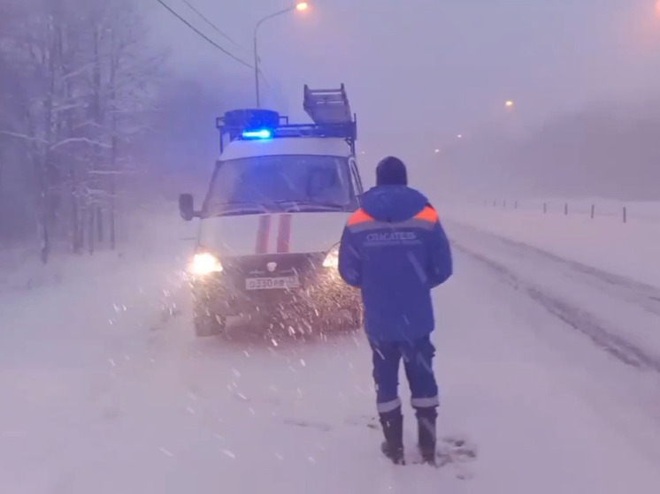 В ночь на 19 февраля в Ленобласти ожидается метель