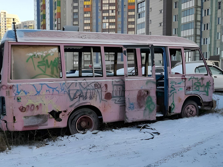 В Красноярске вывезут брошенный розовый автобус из Центрального района