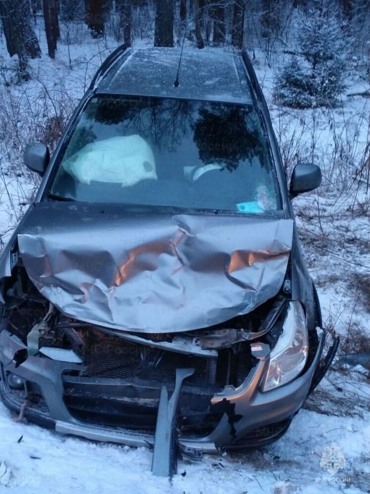 Человек госпитализирован после столкновения с оленем под калужским Жуковым