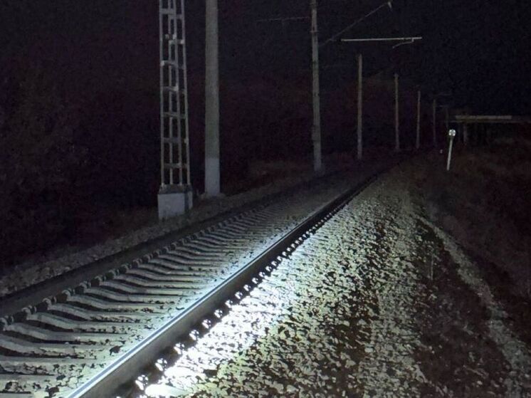 Жителю Подмосковья дали 7 лет колонии за диверсию на железной дороге