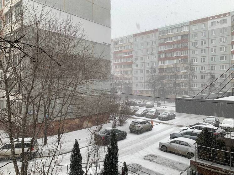 В ГАИ Тульской области предупредили водителей о гололеде