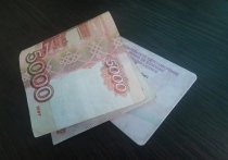 Во Владивостоке сотрудники правоохранительных органов жестко задержали 37-летнего местного жителя, попытавшегося дать взятку сотруднику ГИБДД