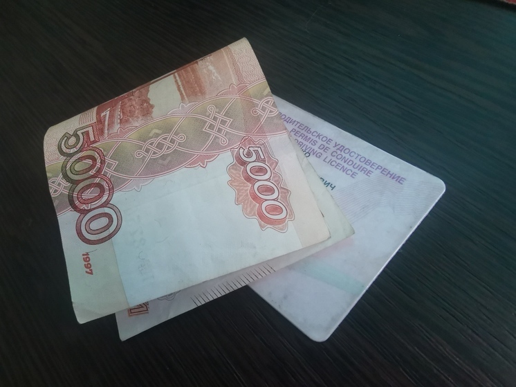 Силовики жестко задержали мужчину за попытку подкупа сотрудника ГИБДД в Приморье