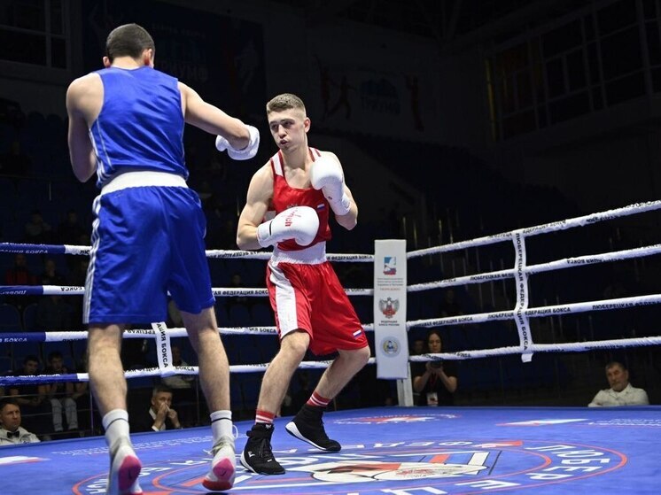 Боксеры Подмосковья завоевали 16 медалей на всероссийских соревнованиях