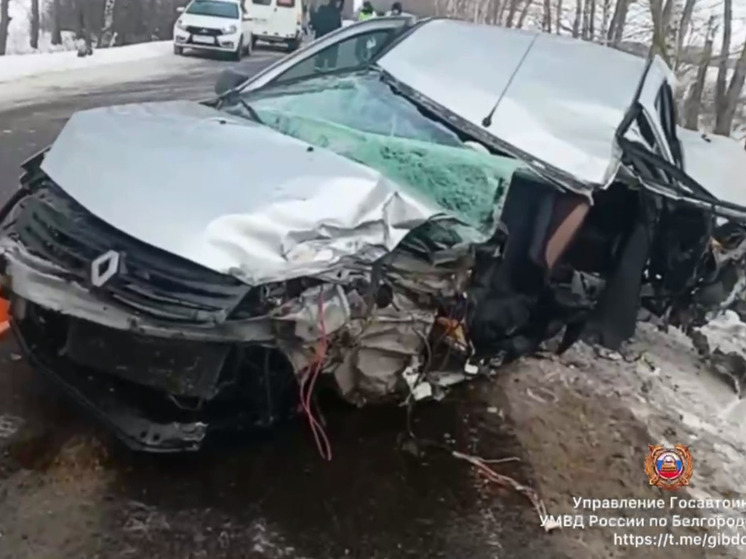 В Прохоровском районе водители двух иномарок пострадали в ДТП