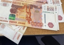 Спасский районный суд Приморского края вынес приговор двум гражданам России, признав их виновными в даче взятки должностному лицу