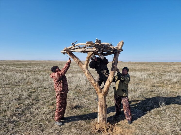 В Калмыкии оказывают помощь степным новоселам