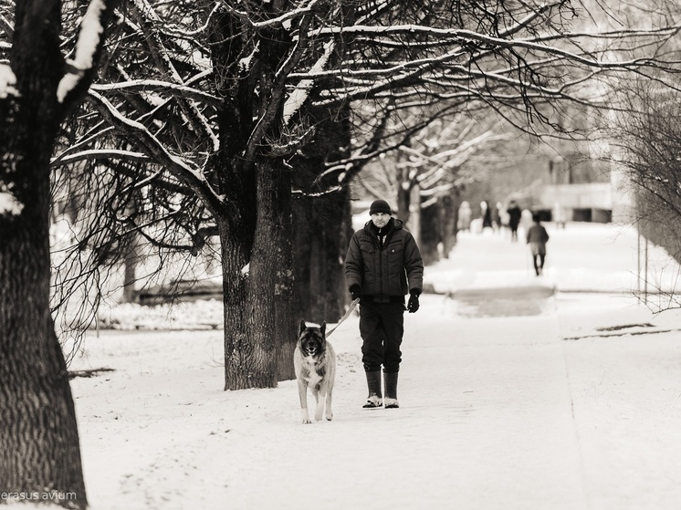 До -16 опустится температура в Псковской области 20 февраля