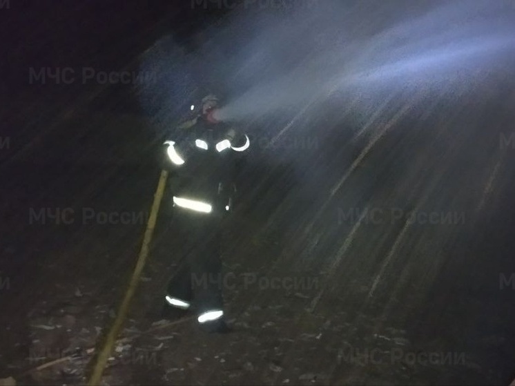 В херсонском селе Бехтеры сгорел жилой дом