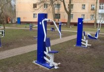 На портале «Открытый город» завершился опрос о необходимости установки уличных тренажеров
