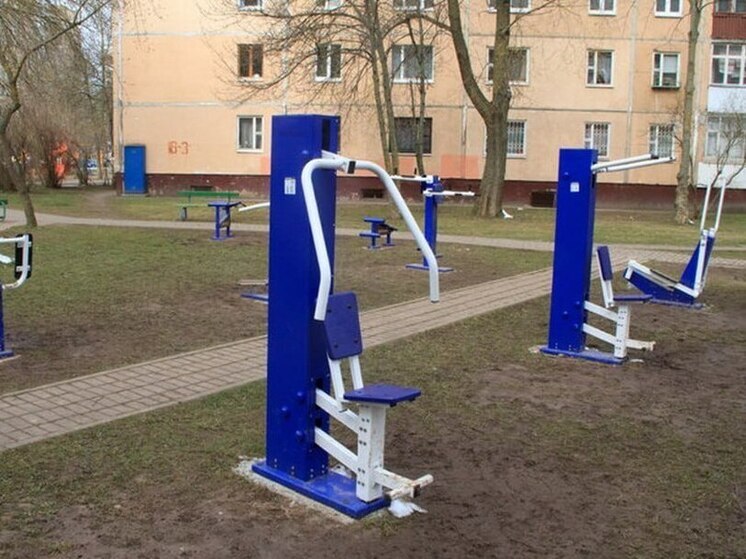 Чебоксарцы проголосовали за сохранение уличных тренажеров