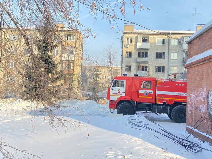 При пожаре в частном доме в Омской области погиб 6-летний мальчик