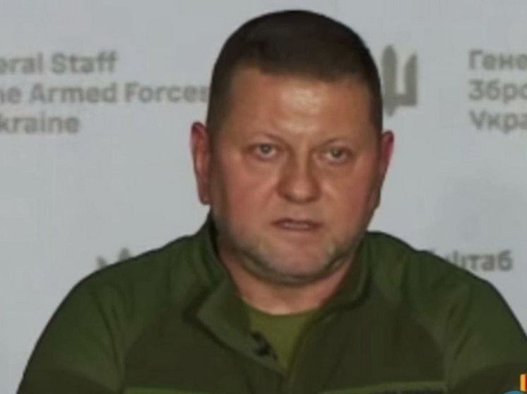Экс-главком ВСУ Залужный: победа Украины еще возможна при четырех условиях