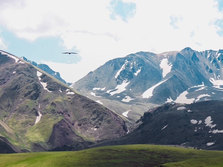 В Кабардино-Балкарии спасают исчезающих серн