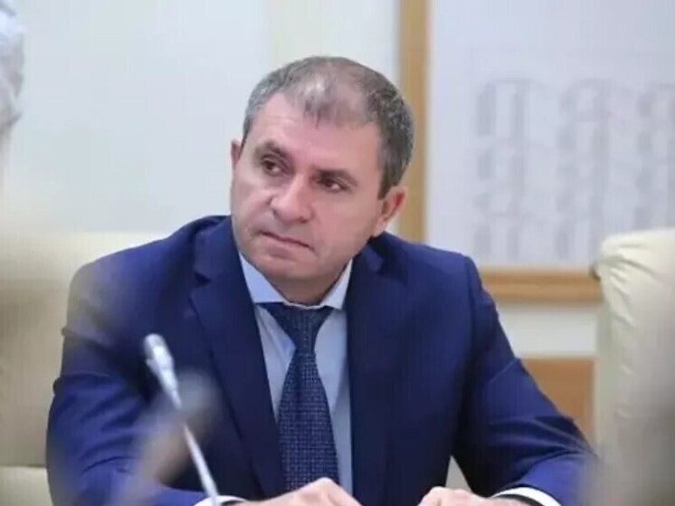Министр сельского хозяйства Ростовской области не признал свою вину