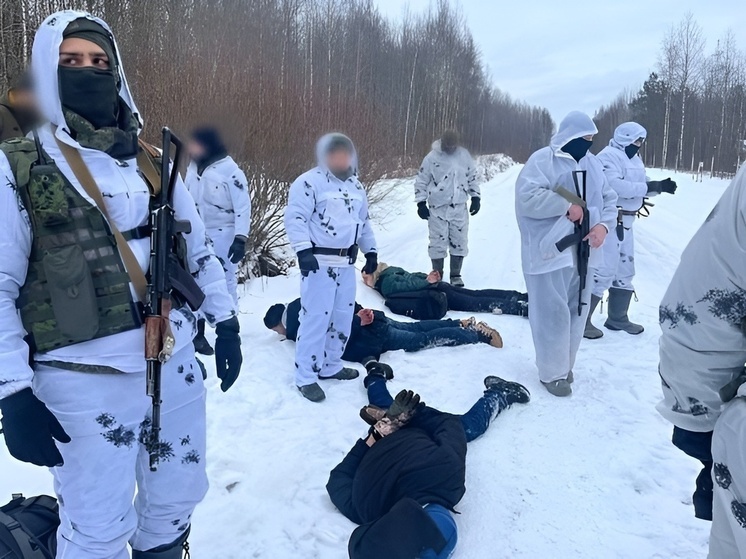 Пограничники задержали четверых иностранцев, пытавшихся пересечь границу с Финляндией