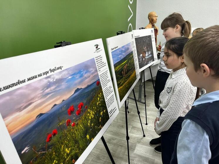 Свыше 120 тысяч человек увидело экспозицию о заповедном Ставрополье