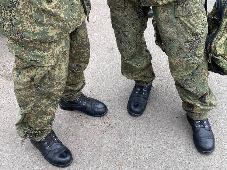 Новгородские художники увековечили в портретах память о героях СВО