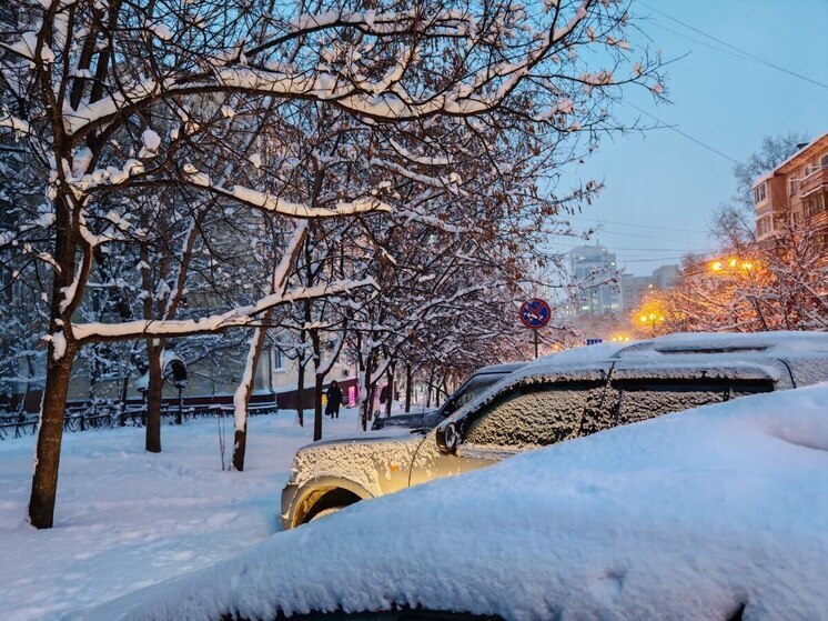 Снежно-дождливое месиво: погода на март 2025 в Хабаровске