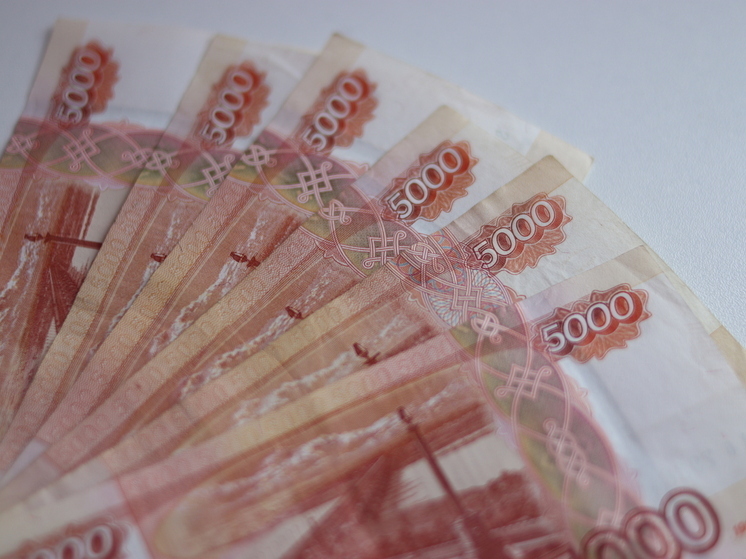 Сотрудница кафе в Абакане оформила микрозайм на начальницу