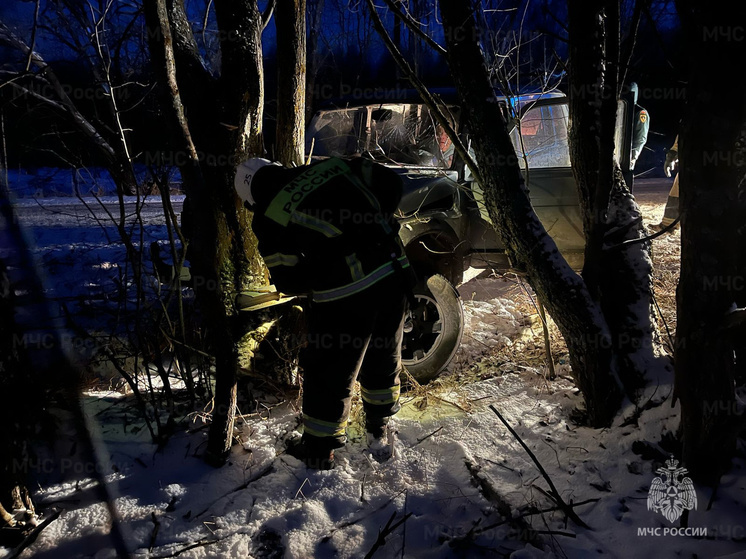 Под Перемышлем «Нива» влетела в дерево