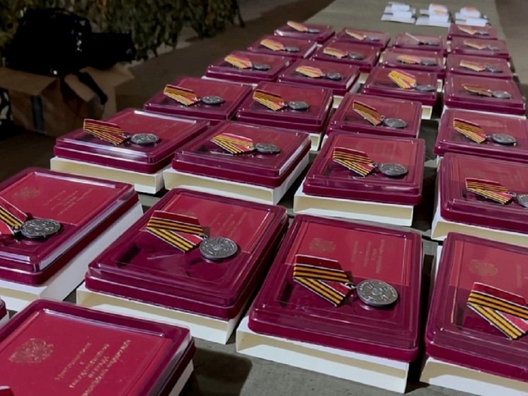 Бойцы отряда «Тигр» награждены за участие в боях за Новомихайловку