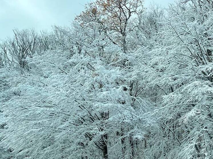 В Зеленокумске ветеран СВО спас провалившуюся под лёд школьницу