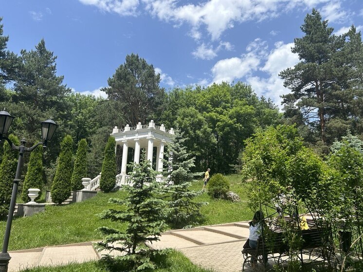 В Кисловодске объявили экологический конкурс по созданию скворечников для птиц