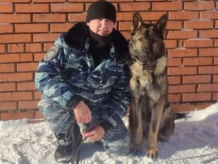 Служебная собака по кличке Порш выследила воров-гастролеров