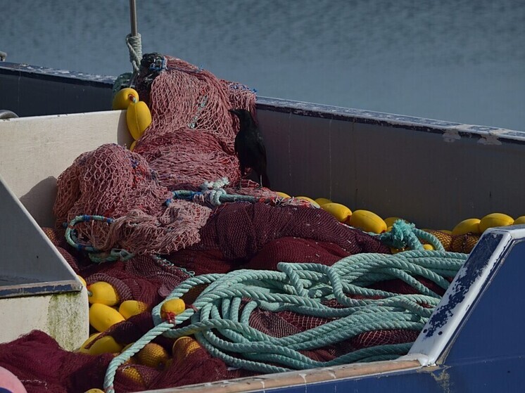 Матрос тралового флота трагически погиб из-за лопнувшего троса в Приморье