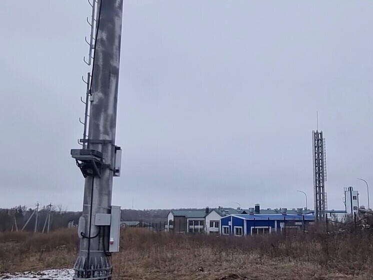 В Тульской области мобильную связь провели еще 600 жителям