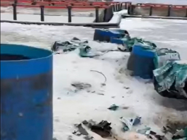 Россельхознадзор дал комментарий по поводу обнаруженной свалки испорченной рыбы на озере в Карелии