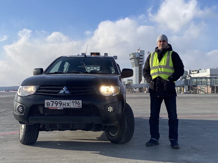 Орнитолог «Кольцово» предсказал рост числа птиц из-за насекомых