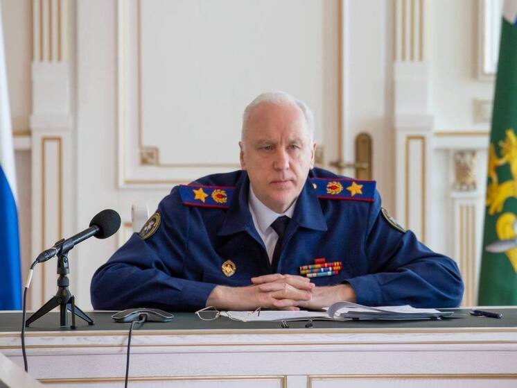 Бастрыкин потребовал доклад по делу о травмировании ребенка песком во Владивостоке