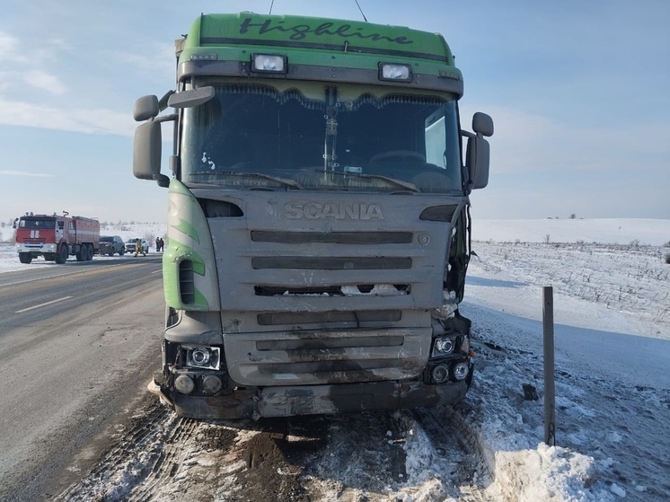 Водитель Mitsubishi пострадал в ДТП с грузовиком в Самарской области 19 февраля