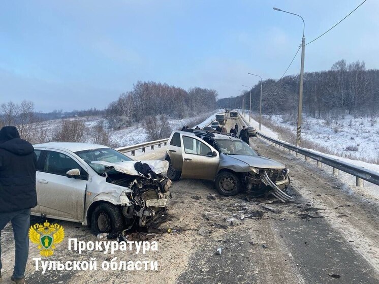 Прокуратура проверит качество уборки трассы «Тула-Щекино» после массового ДТП