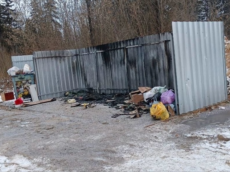 Жители Тверской области подожгли переполненную мусорку