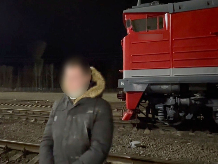 Подозреваемый содержится под стражей