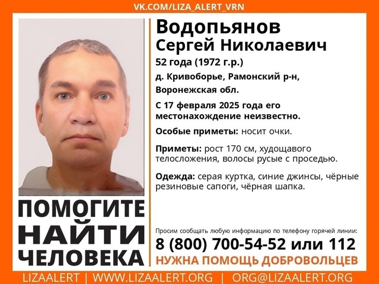 Воронежские поисковики «ЛизаАлерт» обращаются за помощью в поисках 52-летнего мужчины