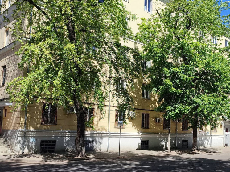 В Воронеже планируют спилить около 100 деревьев