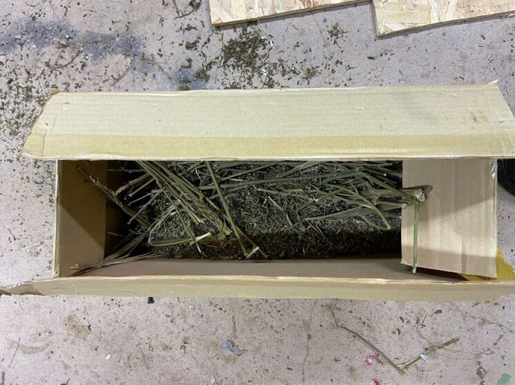 В Талдоме задержали местного жителя за хранение наркотиков