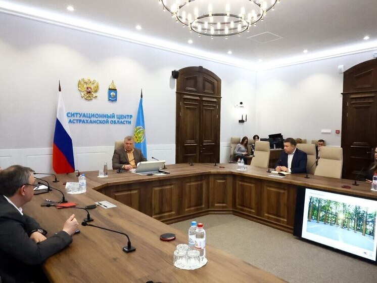 Проект новой парковой зоны отдыха для детей и взрослых представили в Астрахани