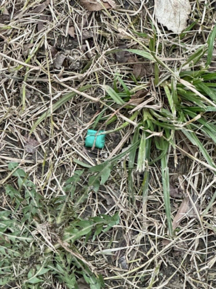 Сочинец при виде полицейских выбросил свёрток с наркотиками