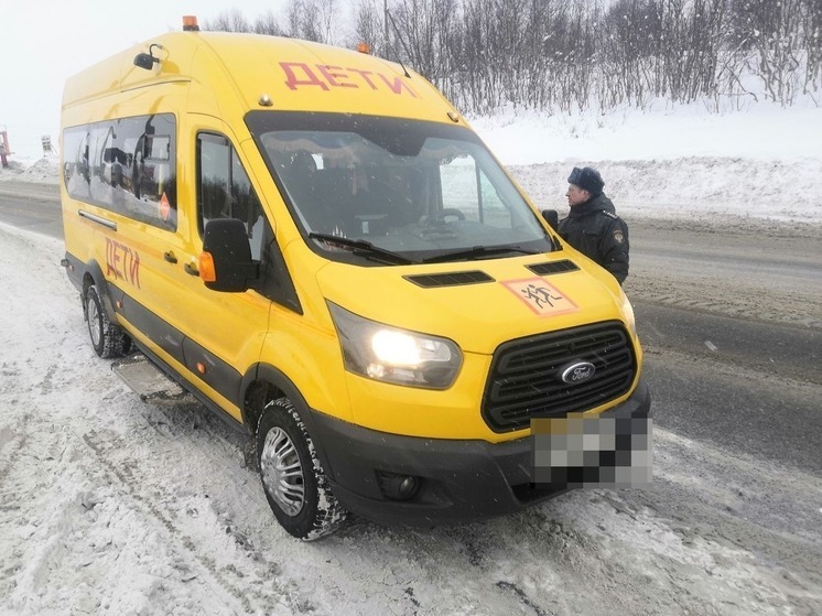 Водители маршруток и грузовиков попали под раздачу в Мурманске